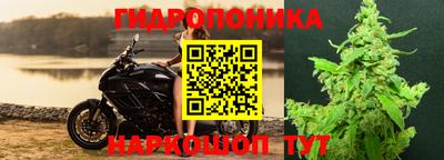 прущие грибы Аргун