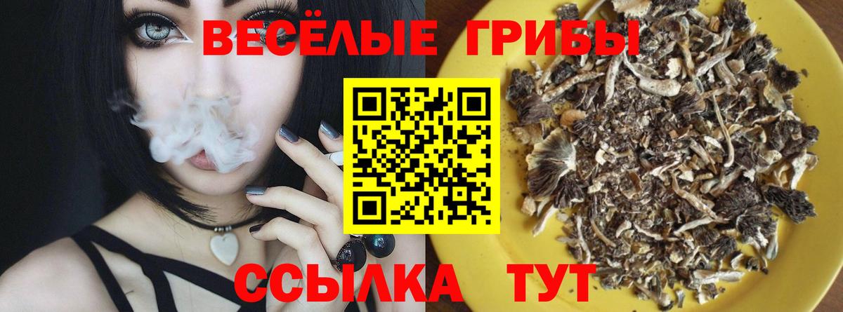 Галлюциногенные грибы прущие грибы  Псилоцибиновые грибы MAGIC MUSHROOMS  Вход с VPN  Белогорск 